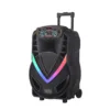 NDR V12 Bluetooth karaoke zvucnik sa wireless mikrofonom 2