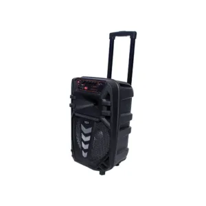 NDR W1012 karaoke zvucnik s Wireless mikrofonom 01