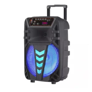 NDR W1012 karaoke zvucnik s Wireless mikrofonom 04