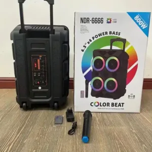 W NDR 6666 Bluetooth bezicni karaoke zvucnik sa mikrofonom