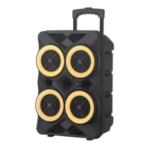 W NDR 6666 Bluetooth bezicni karaoke zvucnik sa mikrofonom 8